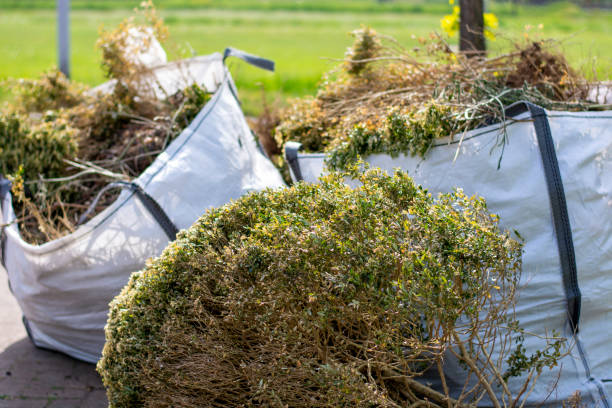 Best Office Junk Removal  in Fairview, GA